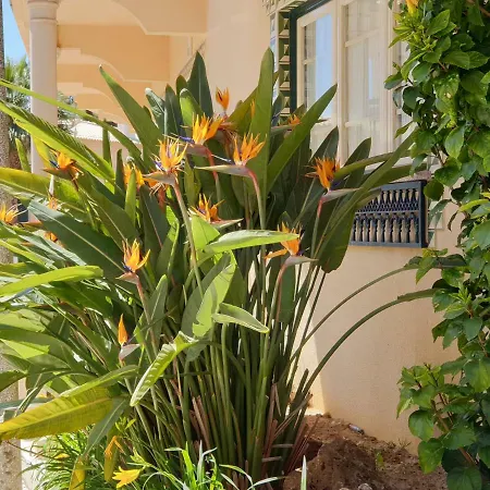 Charm T2 Al With Big Terrace * Албуфейра